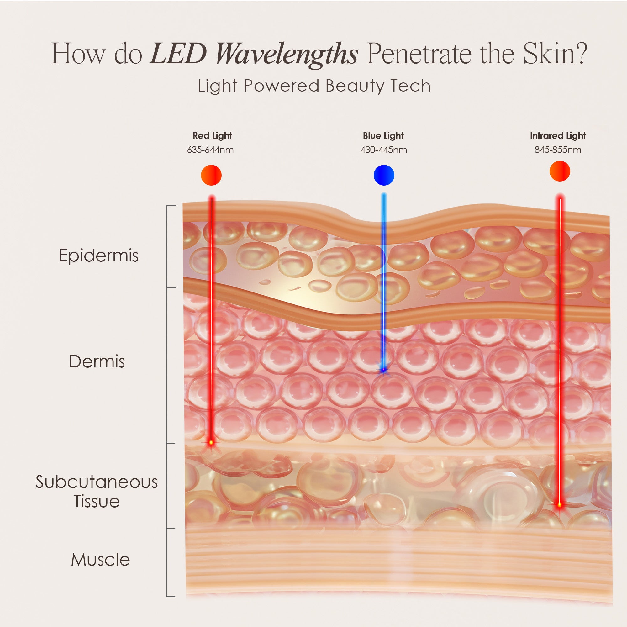 Lumamask Pro LED light therapy face mask showing skin infographic on how each wavelength penetrates the skin for anti-aging and acne