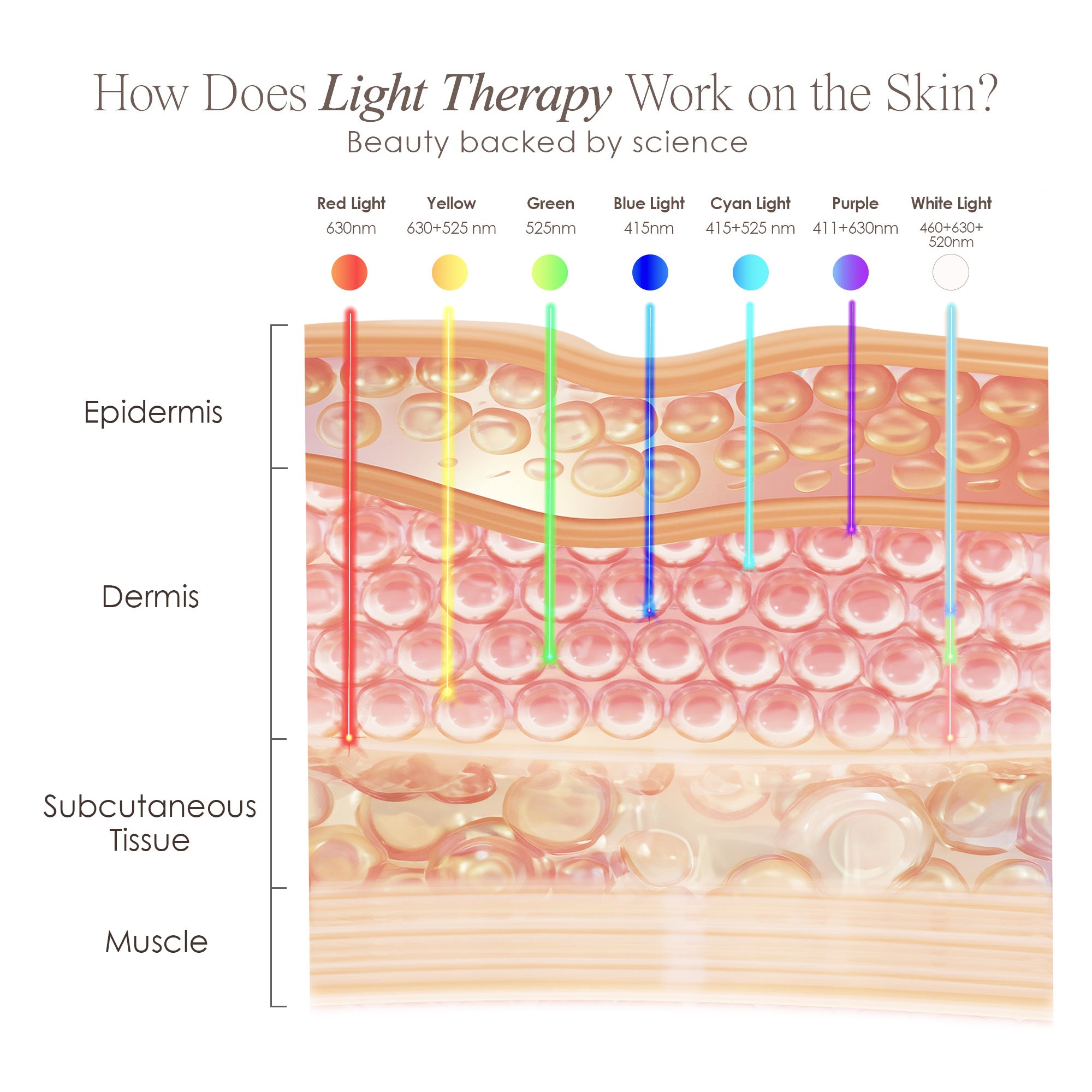 Lumamask 7 LED light therapy face mask showing skin infographic on how each wavelength penetrates the skin for anti-aging and acne