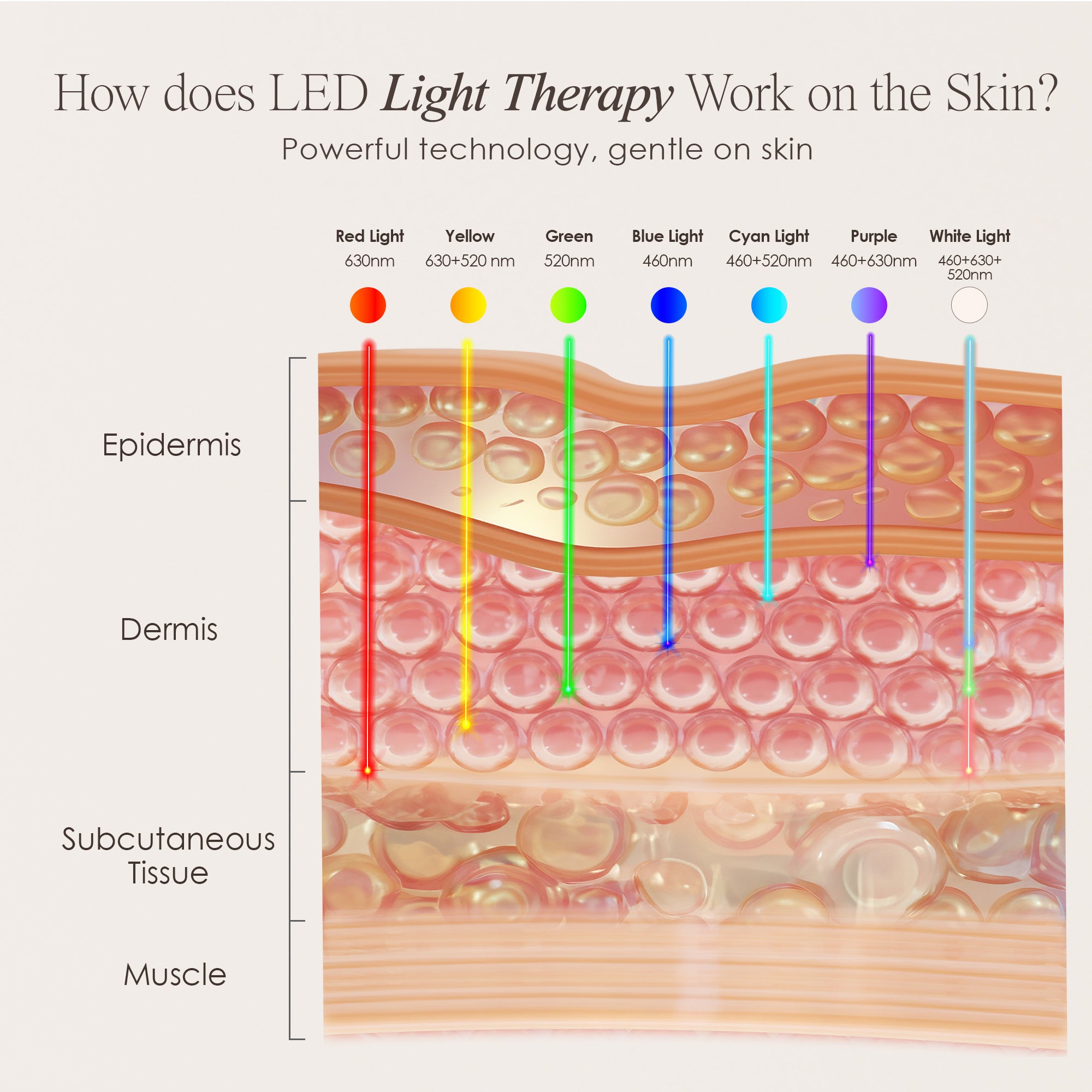 LightAura Plus LED face & neck mask showing skin infographic on how each wavelength penetrates the skin for skin rejuvenation