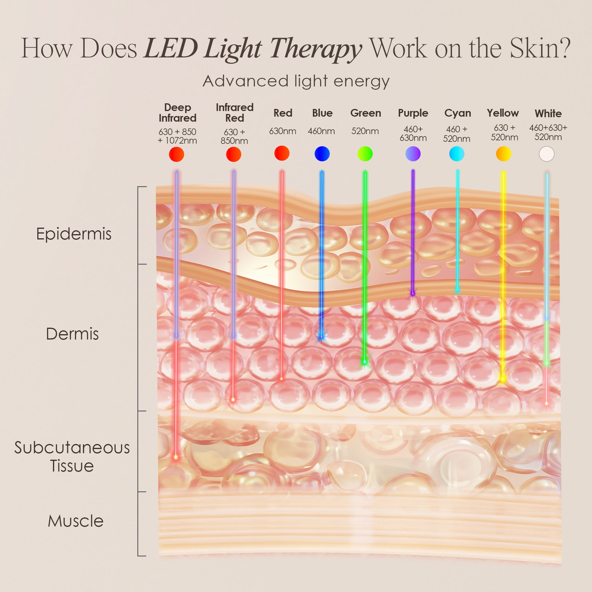 LumaLux Face | Pro LED Light Therapy Mask